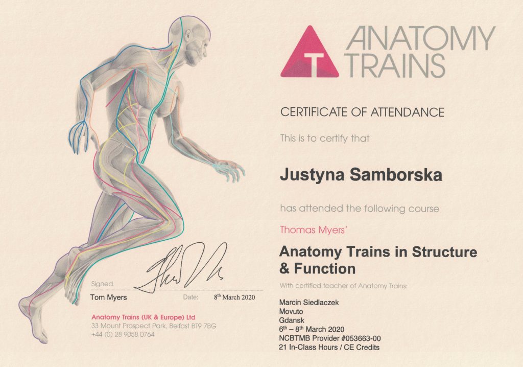 Certyfikat - Anatomy Trains